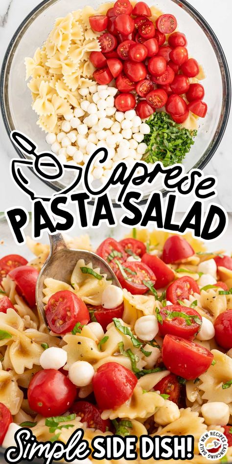 This Italian-inspired Caprese pasta salad consists of juicy tomatoes, sweet basil leaves, and rich mozzarella cheese mixed with tender rotini and balsamic vinaigrette. Tomato Basil Balsamic, Italian Caprese Pasta Salad, Simple Caprese Salad, Pasta Salad Recipes With Mozzarella, Fresh Mozzarella Pasta Salad, Easy Caprese Pasta Salad, Recipes With Mozzarella Pearls, Pasta Salad With Mozzarella Balls, Balsamic Pasta Salad