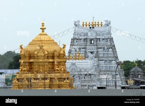 Download this stock image: Golden Gopuram, Lord Venkateshvara temple, Venkateswara Temple, Tirumala, Tirupati, Chittoor district, Andhra Pradesh, India, Asia - F3FX5P from Alamy's library of millions of high resolution stock photos, illustrations and vectors. Tirumala Venkateswara Temple, Venkateswara Temple, India Asia, Devi Durga, Architecture Old, Andhra Pradesh, Pilgrimage, Print Images, Temple