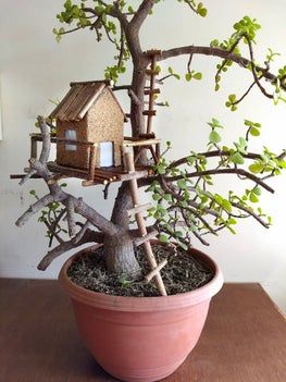 Rustic Tree House, Takken Decor, Farm Tips, Bonsai Mini, Fairy Garden Pots, Fairy Tree Houses, Tree House Diy, Fairy Garden Crafts, Fairy Garden Designs