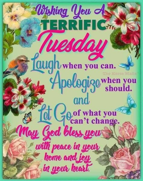 Wishing you a terrific Tuesday tuesday tuesday quotes terrific tuesday Happy Tuesday Morning, Tuesday Quotes Good Morning, Tuesday Greetings, Happy Tuesday Quotes, Good Morning Tuesday, Afternoon Quotes, Tuesday Quotes, Tuesday Humor, Good Morning Prayer