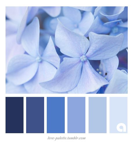 Serenity, PANTONE Color of the Year 2016                              … Serenity Color, Wedding Color Schemes Blue, Serenity Blue, Blue Wedding Inspiration, Blue Color Schemes, Color Palette Design, Color Of The Year, Color Pallets, Pantone Color