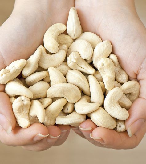 11 Science-Backed Health Benefits Of Cashew Nuts In Pregnancy Cashew Nuts Benefits, Cashew Health Benefits, Dinosaur Movies For Kids, Nuts Benefits, Nut Benefits, Cashews Benefits, Toddler Finger Foods, Healthy Finger Foods, Fruit Health Benefits