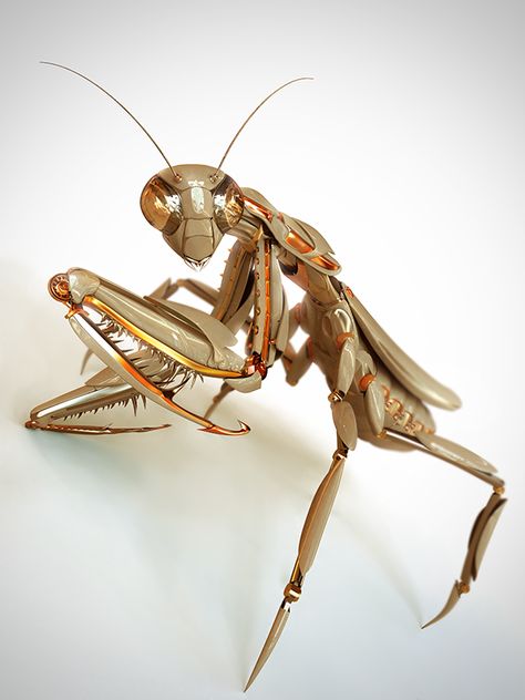 Large Insects, Steampunk Kunst, Steampunk Animals, Mechanical Animals, Robot Animal, Insect Tattoo, Arte Robot, Praying Mantis, Sculpture Metal