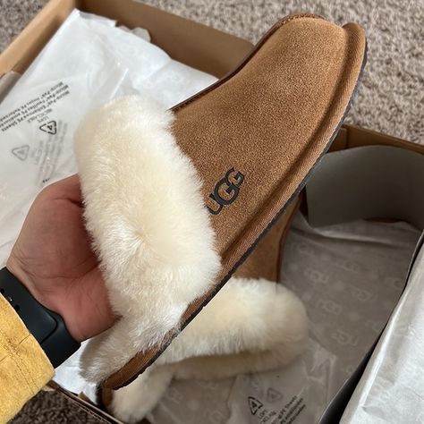 BRAND NEW UGG Slipper Scuffette II Slipper Aesthetic, Ugg Platform Outfit, Outfit Ugg Boots, Aesthetic Slippers, Ugg Slippers Outfit, Shopping Vibes, Camel Shoes, Asos Outfit, Uggs Slippers