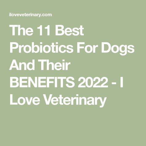 The 11 Best Probiotics For Dogs And Their BENEFITS 2022 - I Love Veterinary Probiotic For Dogs, Dog Probiotics, Best Probiotics, Best Dry Dog Food, Probiotics For Dogs, All Types Of Dogs, Best Probiotic, Probiotic Foods, Lactobacillus Acidophilus