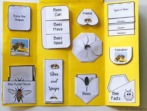 Bee Lapbook, Provocation Ideas, Drone Bee, Bee Life Cycle, Bee Cupcakes, Types Of Bees, Bee Activities, Spelling Bee, Bee Crafts