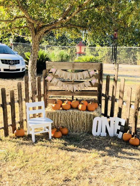 Pumpkin Patch Stand Diy, Pumpkin First Birthday Decorations, Mini Pumpkin Patch Ideas, Fall Back Drops For Pictures Diy, At Home Pumpkin Patch, Pumpkin Party Ideas 1st Birthdays, Outdoor Fall Birthday Party, Fall Photo Booth Ideas, Pumpkin First Birthday Boy