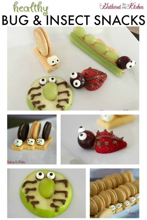 Healthy Bug & Insect Snacks #preschoolnacks #bugtreats #fruitsnacks #schoollunch #bugsnacks #insectsnacks #bugsnacksfortoddlers #bugsnacksforkids #healthysnacksforkids Insect Snacks, Ladybug Snacks, Snacks For School Lunches, Edible Bugs, Bug Snacks, Insect Study, Spring Snacks, Recipes For Game Day, Foodie Friday