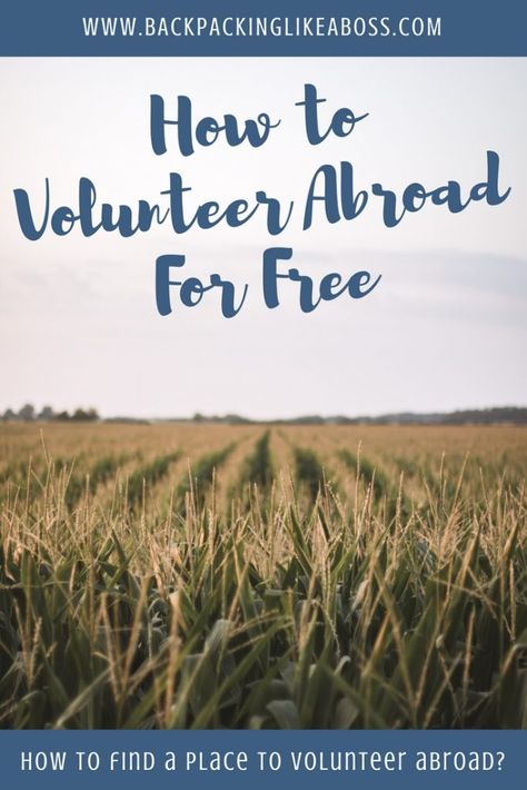 Volunteer Abroad For Free - How to find great places to volunteer for free, and why this is great for digital nomads too! Volunteer Vacations, Environmental Jobs, Sabbatical Ideas, Nomad Living, Places To Volunteer, French Trip, Outdoor Jobs, Volunteer Projects, Volunteer Travel