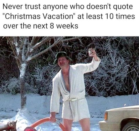 Never trust anyone who doesn't quote Christmas Vacation at least 10 times over the next 8 weeks. Or at least post Christmas vacation memes. Christmas Vacation Meme, Vacation Quotes Funny, Christmas Vacation Movie Quotes, Vacation Meme, Christmas Vacation Party, Christmas Vacation Quotes, Funny Christmas Movies, Christmas Vacation Movie, Christmas Movie Quotes