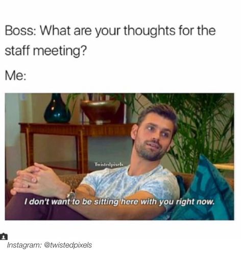 Work Meeting Humor, Staff Meeting Humor, Work Meeting Meme, Meetings Humor, Work Funnies, Therapist Humor, Social Work Humor, Staff Meeting, Work Funny