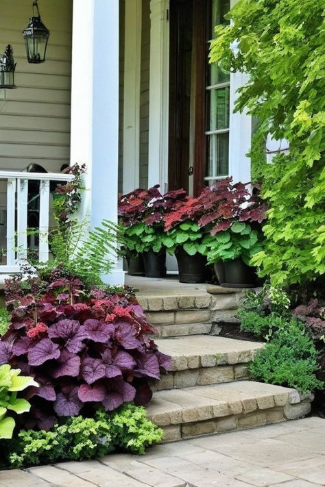 Discover the perfect plants for a shady porch with these best shade plants for the front of your house. From low maintenance shrubs to shade-loving perennials, you'll find a variety of options to create a beautiful front yard or add life to your covered patio space. Whether you're looking for container gardening flowers or low growing shrubs, there's something here for every shaded area. Landscaping Shaded Front Yard, Shrubs In Front Of House Shade, Front Porch Shade Plants, Shade Garden Front Of House, Low Maintenance Shrubs Front Yards, Shade Landscaping Front Yard, Plants For Front Of House, Best Shade Plants, Porch Shades