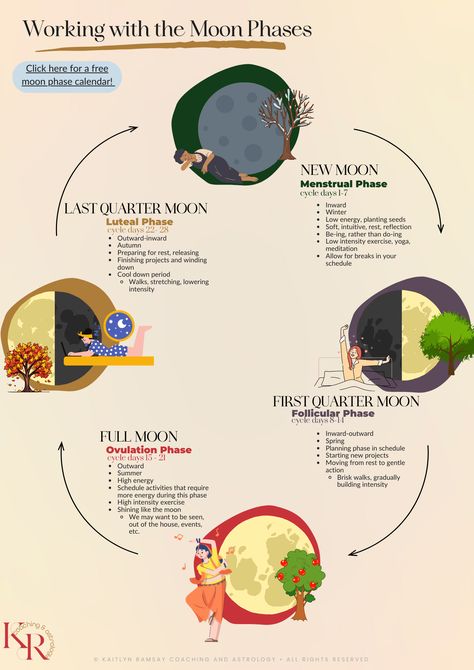 an image of the moon phases and their benefits—new moon, first quarter moon, full moon, and last quarter moon. Period On New Moon, Moon And Menstrual Cycle, Last Quarter Moon Magic, Period On Full Moon, Moon Syncing, Feminine Cycle, Menstrual Phases, Womb Health, Cycle Health