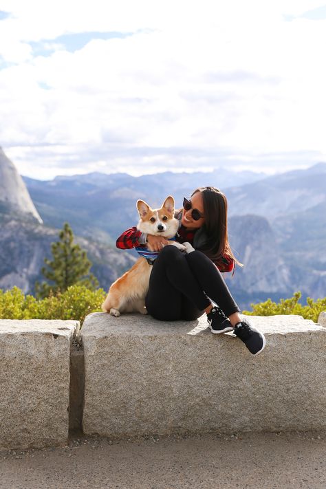 Traveling to Yosemite with a Dog - How to travel to Yosemite with your pets! Plus, some very helpful tips including dog-friendly trails at the park! Dog Bucket List, Yosemite Trip, Summer Bucket Lists, Dog Friendly, Helpful Tips, My Dog, Us Travel, Dog Friends, The Park