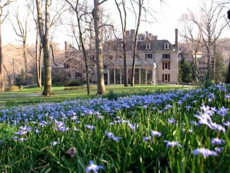 The House | Winterthur Museum, Garden & Library Winterthur Gardens, Delaware Wedding Venues, Museum Garden, Naturalistic Garden, Wedding Venue Locations, Winterthur Museum, Alabama Travel, Casa Exterior, Winterthur