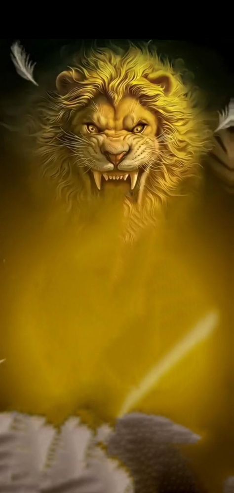 Lion Background Images Hd, Lion Photo Editing Background, Flex Editing Backgrounds Hd, Lion Editing Background, Tiger Background For Editing, Lion Banner, Beautiful Background Images, Photo Studio Background Images, Lion Background