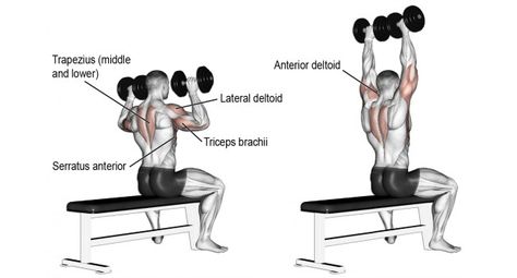 Traps Workout, Dumbbell Shoulder Press, Best Shoulder Workout, Shoulder Training, Shoulder Workouts, Shoulder Exercises, Compound Exercises, Overhead Press, Fitness Style