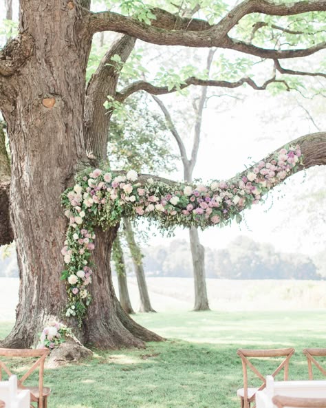 20 Ways to Decorate a Wedding Ceremony Held Beneath Trees Tree Wedding Ceremony, Tree Branch Wedding, Wedding Branches, Martha Weddings, Wedding Tree, Beautiful Outdoor Wedding, Outdoor Wedding Inspiration, Wedding Arbour, Wedding Arches