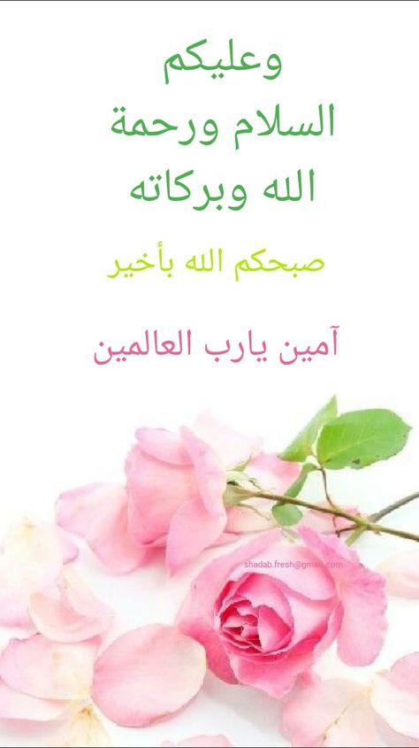 shadab.fresh@gmail.com Walaikum Salam Photo, Walikum Assalam Images, Walikum Salam Image, Walaikum Assalam Quotes, Walekumassalam Images, Walaikum Assalam Images, Walaikum Salam, Walaikum Assalam, Salam Image