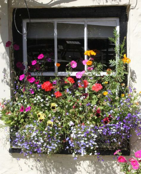 Perfect window box - even cramming lots of everything together looks splendid! An Open Window, Cottage Windows, Window Box Flowers, Spring Window, Flower Window, Wonderful Flowers, Garden Windows, Most Beautiful Flowers, Window Boxes