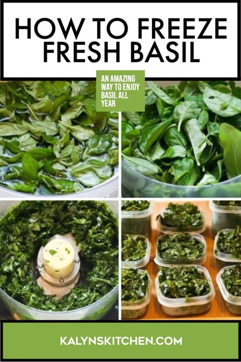 This post will show you How to Freeze Basil, and frozen basil is a wonderful thing to have in the freezer when basil is out of season! I've been freezing basil for years, so I'll also give you some recipe suggestions that can work with frozen basil. [found on KalynsKitchen.com] #HowToFreezeBasil #FreezingBasil Freezing Veggies, Freezing Recipes, Freezing Fresh Herbs, Preserve Fresh Herbs, Fresh Basil Recipes, Freezing Vegetables, Big Dinner, Freezing Herbs, Basil Pesto Recipes