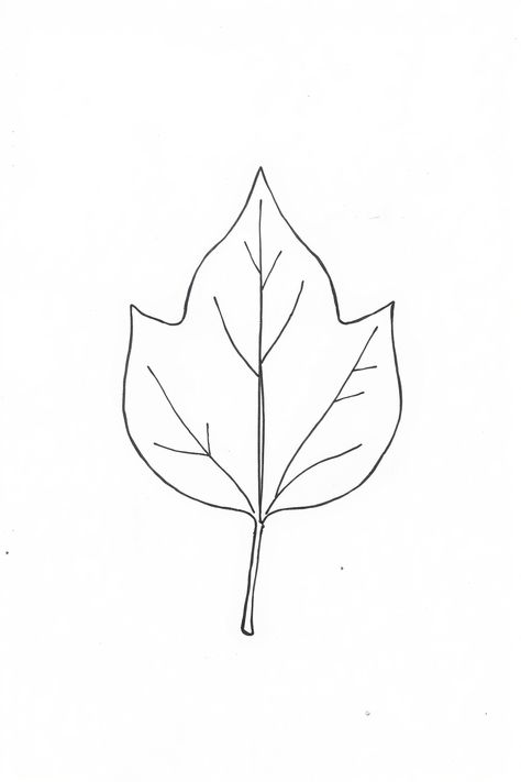 Check Out This Simple Leaf Outline Drawing & 12+ Other Leaf Drawing Ideas! #drawinginspiration #drawing Water Droplets Drawing, Sea Turtle Drawing, Leaves Sketch, Composition Drawing, Leaf Collage, Conservation Art, Rabbit Drawing, Turtle Drawing, Leaf Outline