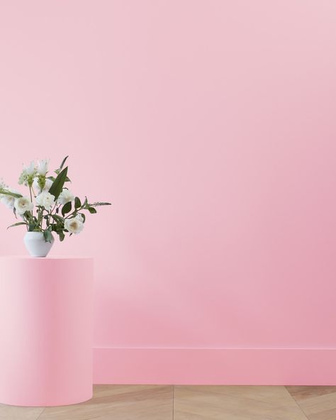 Strawberry Sorbet 2087-50 | Benjamin Moore Benjamin Moore Pink, Green And Black Background, Paint Color Swatches, Studio Backdrops Backgrounds, Office Paint, Strawberry Sorbet, Benjamin Moore Colors, Color Chip, Pink Paint