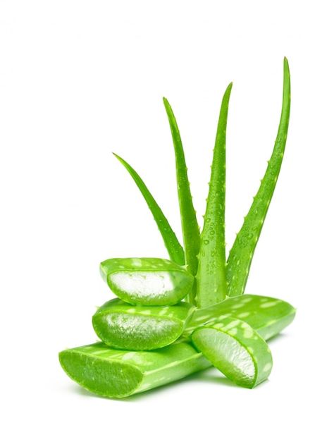 Aloe Vera Image, Aloe Vera Face Wash, Aloe Barbadensis Miller, Forever Living Aloe Vera, Soft Shiny Hair, Aloe Vera For Skin, Cleanser For Sensitive Skin, Fresh Aloe Vera, Cosmetica Natural