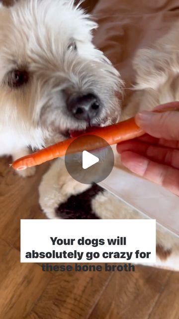 Behavior Specialist, Dog Tear Stains, Carrot Dogs, Pet Treats Recipes, Dog Treat Recipe, Easy Dog Treat Recipes, Diy Dog Food, Easy Dog Treats, Doggie Treats