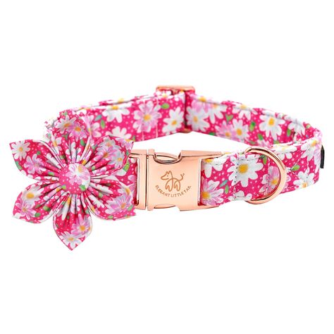 Elegant little tail Dog Collar with Flower, Dog Collar Flowers Pink Floral Girl Dog Collar Pet Gift Adjustable Dog Collar for Medium Dogs (As an Amazon Associate I earn from qualifying purchases) Dog Collar Flowers, Flower Dog Collar, Flower Dog, Girl Dog Collars, Dog Flower Collar, Girl Dog, Casa Exterior, Dog Flower, Pet Care Tips