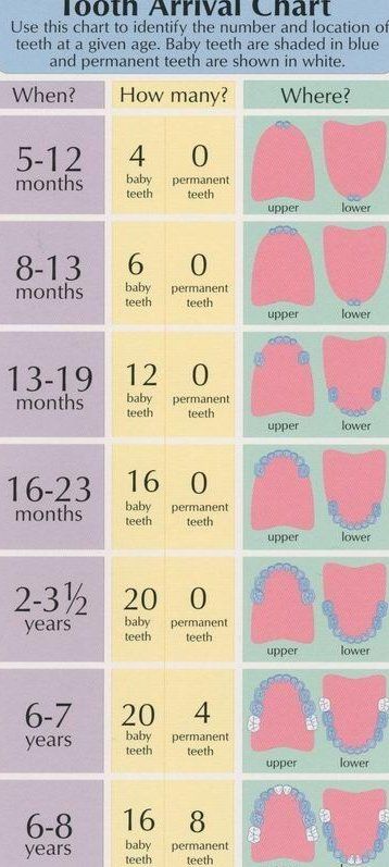 Baby Information, Baby Massage, Baby Tips, Baby Development, Baby Time, Everything Baby, Baby Teeth, Baby Health, Shark Teeth