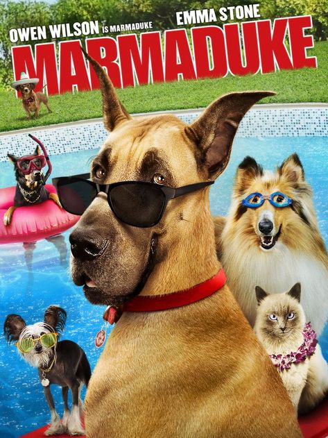 Comedy Movies List, George Lopez, Horror Movies Scariest, Dog Hotel, Dog Movies, Kiefer Sutherland, Owen Wilson, Childhood Movies, Best Dog Breeds