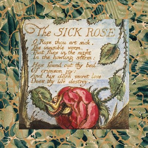 The Sick Rose, Andrea Zanatelli, Green Academia, The Howling, William Blake, Secret Love, Theme Song, In This Moment, Songs