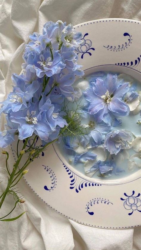 Kunstjournal Inspiration, Alice Blue, Baby Blue Aesthetic, Light Blue Aesthetic, Blue Aesthetic Pastel, Bleu Pastel, Aesthetic Colors, Delphinium, Pastel Aesthetic