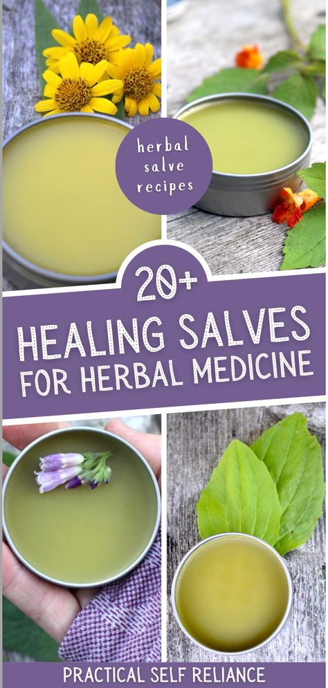 Embrace the natural remedies of nature with over 20 healing salve recipes. Each herbalism recipe utilizes herbs for health, offering natural remedies for various ailments. This collection is a perfect introduction to herbalism, guiding you step by step to create your own medicinal salves from a diverse range of plants and flowers. Homemade Salve Recipes, Homemade Healing Salve, Herbal Salve Recipes, Witches Apothecary, Healing Salve Recipe, Homemade Salve, Healing Salve, Salve Recipes, Herbal Salves