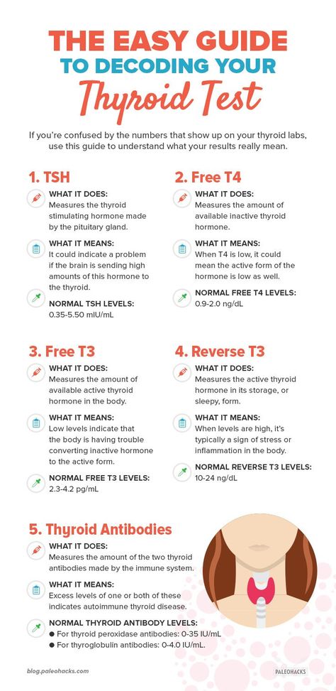 The Easy Guide to Decoding Your Thyroid Tests | PaleoHacks Blog Types Of Hormones, Thyroid Test, Thyroid Symptoms, Hashimotos Disease, Thyroid Issues, Tongue Health, Makanan Diet, Thyroid Health, Health Info