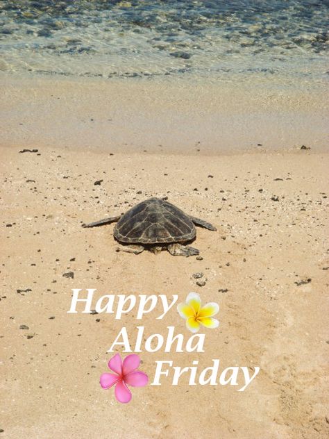 Happy Aloha Friday, Friday Images, Smith Family, Aloha Friday, Hawaiian Style, Tropical Vibes, Hawaii, Birthday Party, Birthday