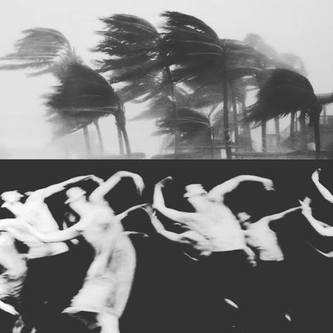 Diptych Art, Pina Bausch, Blowing In The Wind, Septième Art, Powerful Art, Arte Inspo, Foto Art, Cinematic Photography, Photography Inspo