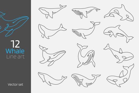 Continuous Line Art, Illustration Minimal, Art Vector Illustration, Sea Illustration, Whale Tattoos, Contour Lines, Whale Pattern, Whale Design, Procreate Ipad Art