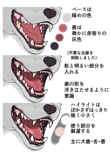 Mouth Drawing, Wolf Drawing, Coloring Tutorial, Anatomy Drawing, Digital Painting Tutorials, Anatomy Reference, Digital Art Tutorial, Drawing Base, Drawing Poses