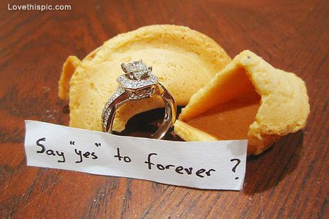 Fortune cookie engagement love quotes cute photography wedding marriage ring Cute Ways To Propose, Ways To Propose, Marriage Ring, Perfect Proposal, Wedding Proposals, Wedding Quotes, Fortune Cookie, Cute Photography, I Got Married