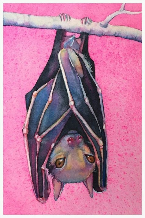 Bats Tattoo Design, Bat Art, Really Cool Drawings, 2d Art, Creepy Cute, Wildlife Art, Painting Inspiration, Artist Inspiration, Amazing Art