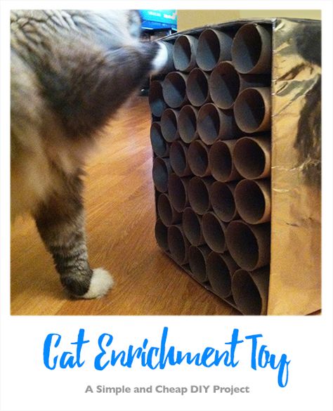 DIY Cat Enrichment Toy | Pepe | Pepenanigans | Simple and Cheap Cat Toys | DIY | Toilet Paper Rolls | Inspiration | Crafted by Massiel Diy Treat Dispensing Cat Toy, Diy For Cats Projects, Cat Entertainment Indoor Diy, Indoor Cat Enrichment Diy, Handmade Cat Toys Diy, For Cats Diy, Cat Enrichment Toys, Enrichment For Cats, Cat Diy Toys