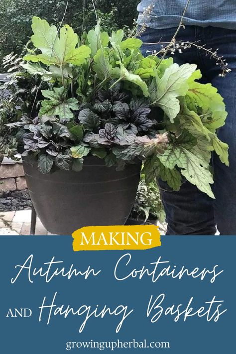 I'm getting creative and refreshing some containers and hanging baskets with perennial plants for the autumn season (and hopefully longer!) Autumn Hanging Baskets, Lasagna Gardening, Homemade Cleaning Supplies, Natural Laundry, Herbal Recipes, Holiday Tablescapes, Square Foot Gardening, Natural Lifestyle, Rose Cottage