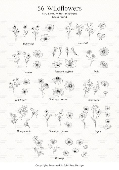 Wildflowers Line Art Botanical Hand Drawn Line Art Floral - Etsy Wildflowers Line Art, Wild Flower Line Art, Wild Flower Sketches Simple, Wildflower Wood Burning, How To Draw Wild Flowers, Wildflower Logo Design, Vertical Flower Tattoo, Wild Flower Drawing Simple, How To Draw Wildflowers