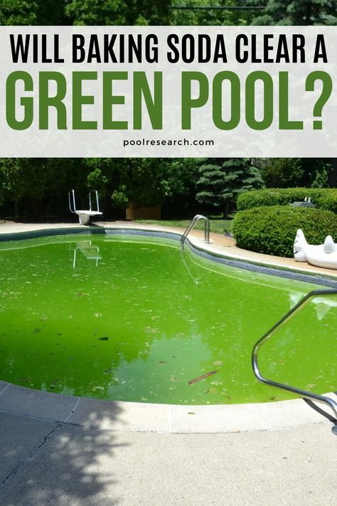 So, will baking soda clear up a green swimming pool? Here is my answer. Flowers To Attract Butterflies, Cleaning Above Ground Pool, Green Swimming Pool, Green Pool Water, Pool Cleaning Tips, Swimming Pool Filters, Green Pool, Backyard Garden Diy, Pool Care