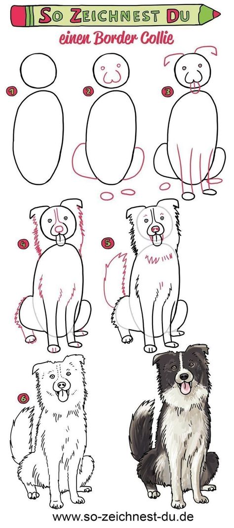 How to Draw a dog for beginners easy | #dog #dogdrawing #howtodrawadog Border Collie Tattoo, Dog Drawing Tutorial, Border Collie Art, Dog Sketch, 강아지 그림, 캐릭터 드로잉, Dessin Adorable, Cute Easy Drawings, Dog Drawing