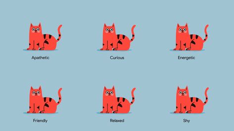 Behance :: Для вас Dog Animation, Smelly Cat, Logo Design Inspiration Creative, Art Furniture Design, Computer Animation, Motion Design Animation, Cat Portrait, Animation Design, 2d Animation