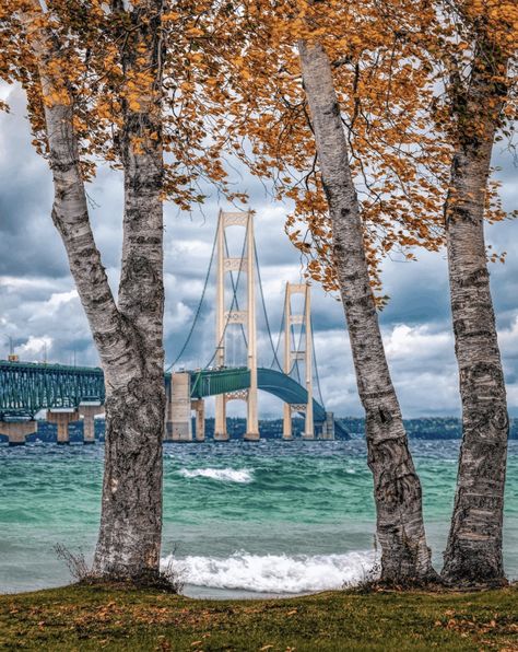 Mackinac Bridge, Lake Huron, Birch Trees, Mackinac Island, Upper Peninsula, Pure Michigan, Northern Michigan, Autumn Landscape, The Mighty