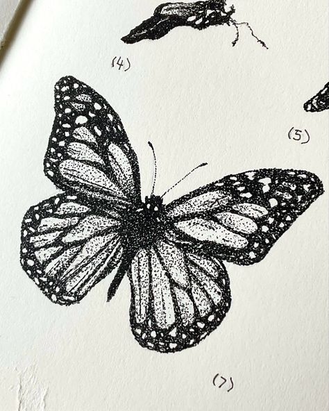 #closeupphotography #butterfly #butterflytattoo #sketch #sketchbook #metamorphosis #art #artist #artwork #drawing #stippling #pointillism Pointilism Butterfly Art, Butterfly Stippling Art, Stippling Drawing Animals, Stippling Butterfly, Butterfly Pointillism, Stippled Drawing, Stipple Drawing, Stipple Art, Pointalism Art